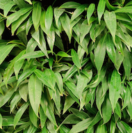 May Flowers Horticulture Installation 39